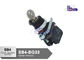 Professional Electrical  Selector Key Switch ROHS And UL Certified