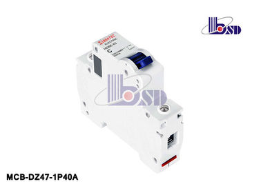 Plastic B Type Mini Circuit Breaker 2 Pole IEC60898 Standard OEM Service